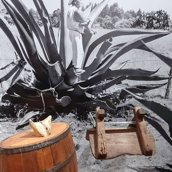 Museo del Pulque y las Pulquerías (MUPyP)